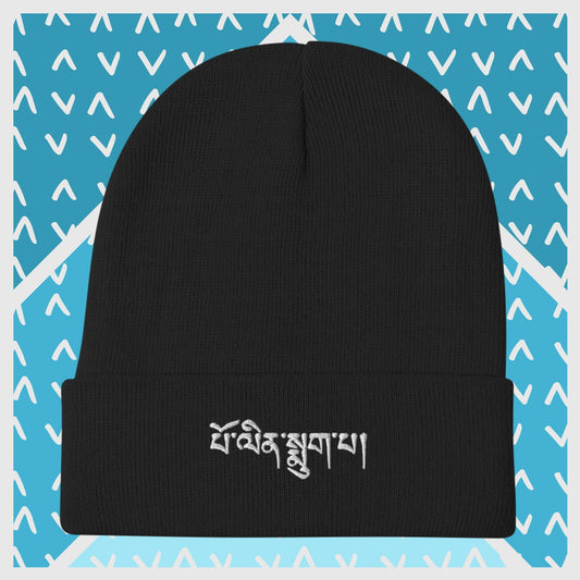 Album Title Embroidered Beanie - klevo Albums